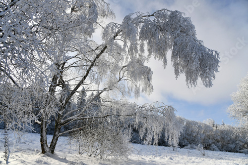 Wunderschöne Winterlandschaft bei sonnigem Wetter