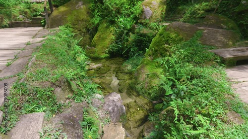 Source of the Tietê River. Salesopolis. Preservation of Springs. photo