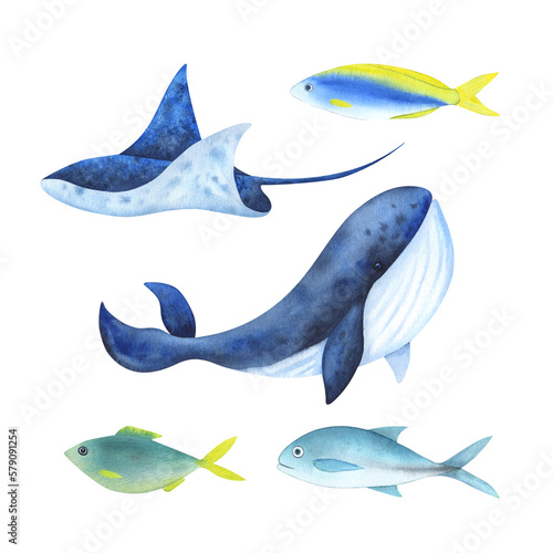 Set of marine animals painted in watercolor. Isolated illustration on a white background.