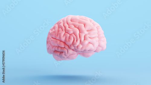 Pink Brain Anatomy Mind Intelligence Medical Organ Science Blue Background Right Quarter View 3d illustration render
