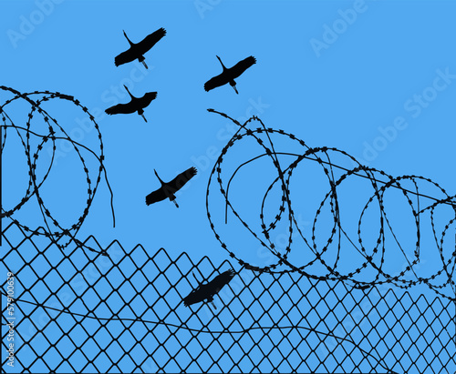 Sandhill cranes fly over a broken prison fence and broken razor wire in a vector illustration about freedom and imprisonment.