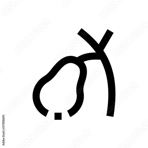 gallbladder line icon