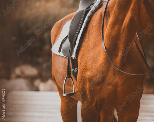 The sorrel horse is wearing a leather saddle, a white saddlecloth, a stirrup and a bridle. Equestrian sports and ammunition.