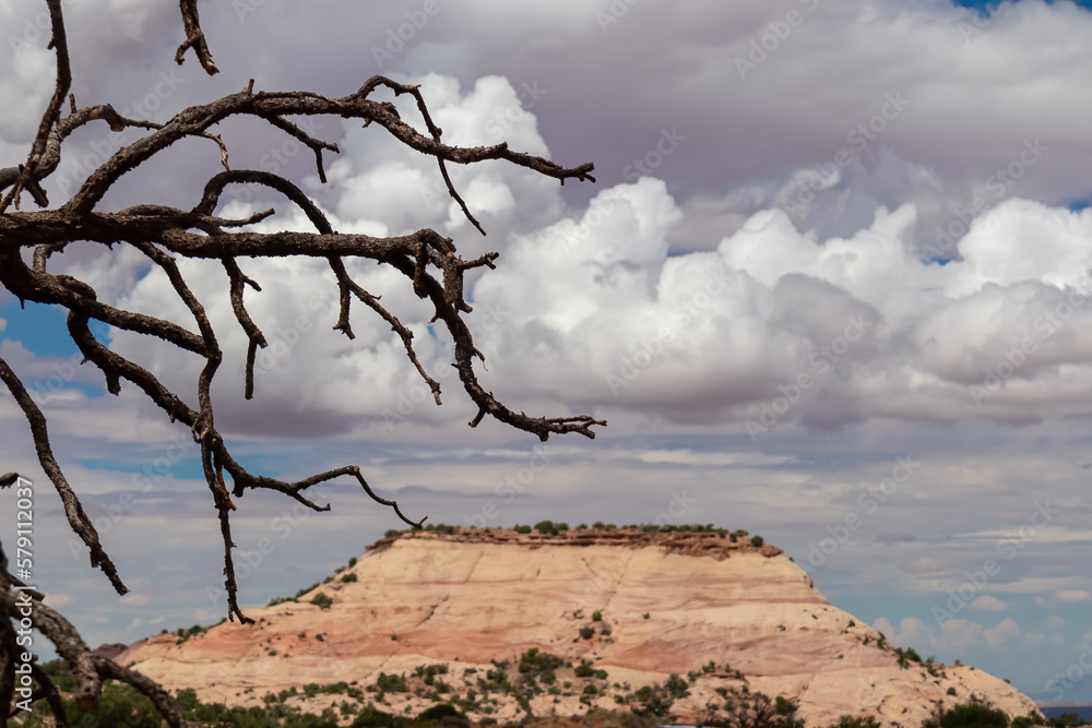 Old dry juniper tree with scenic view of white sandstone summit Aztec Butte located in Island in the Sky District of Canyonlands National Park, San Juan County, Utah, USA. Resembles Pyramid of the Sun Old dry juniper tree with scenic view of white sandstone summit Aztec Butte located in Island in the Sky District of Canyonlands National Park, San Juan County, Utah, USA. Resembles Pyramid of the Sun