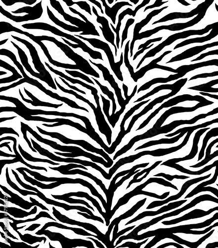 Seamless zebra pattern, animal print.