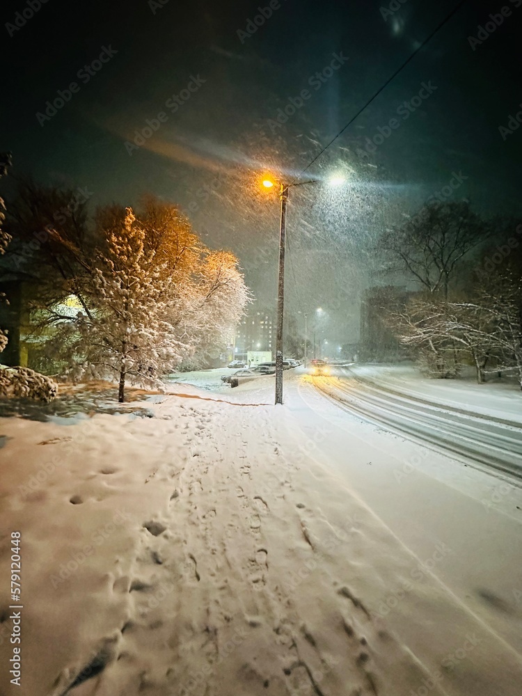 snow covered road