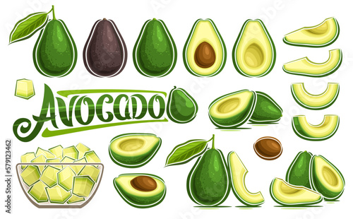 Vector Avocado Set, banner with collection of cut out illustrations veggie still life composition with green leaves, ripe chopped avocado in glass dish, group of various oily fruits and text avocado
