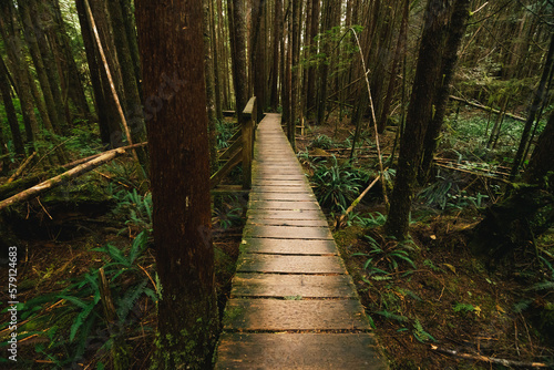 Rainforest Trail Ucluelet on Vancouver Island, Canada
