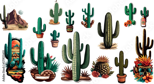 Collection of different cactus