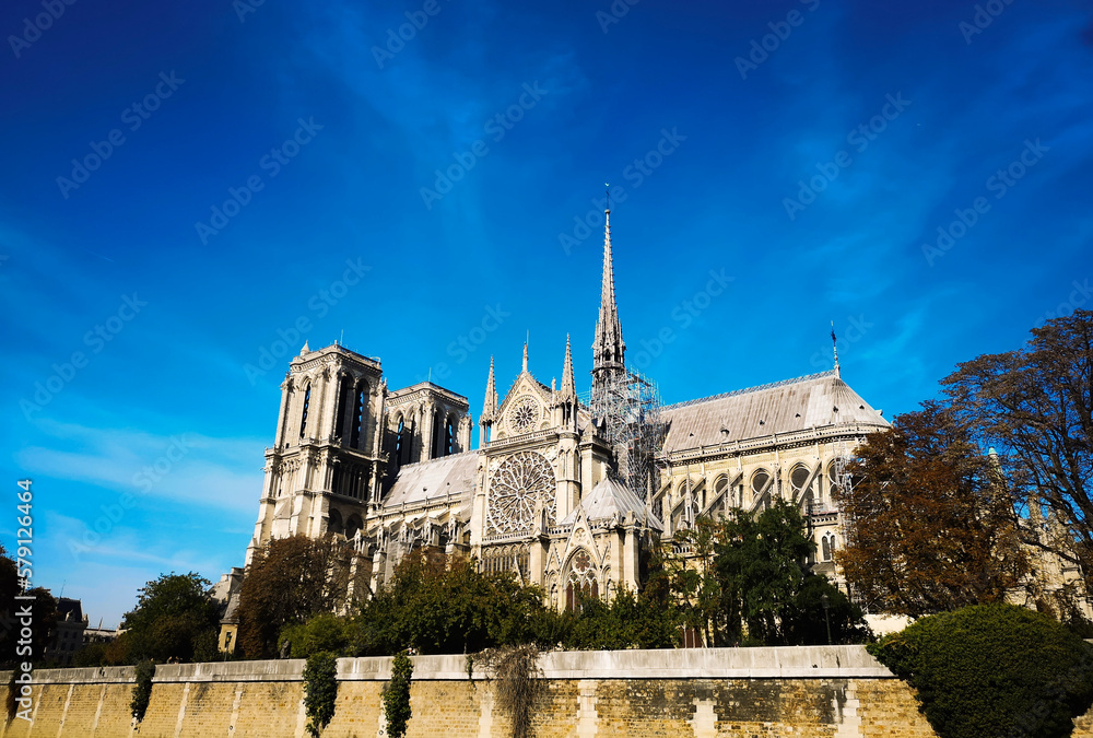 Obraz premium notre dame de city