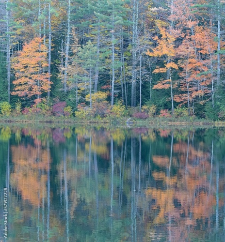 pastel fall colors reflected in pond