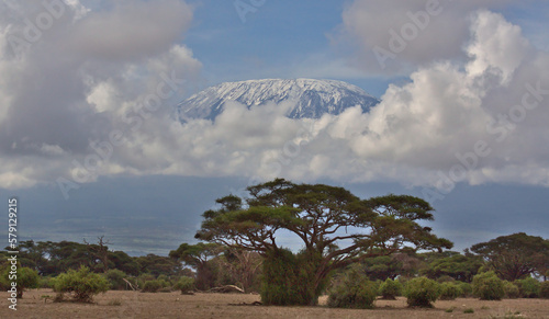 view of mount kilimanjaro showing snow capped uhuru peak from amboseli national park, kenya photo