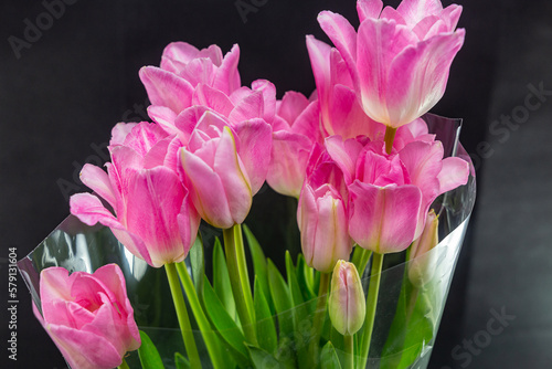 Bouquet of pink tulips on a black background