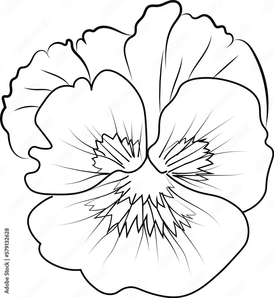 blossom flower coloring page artwork with line drawing for kids educational  clipart 8889924 Vector Art at Vecteezy