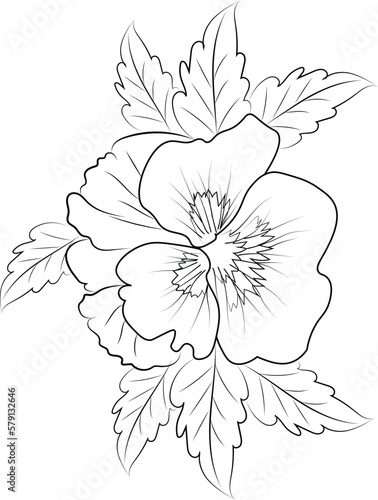 pansy flower drawing, pansy flowers illustration coloring page, simplicity, Embellishment, monochrome, vector art, Outline print with blossoms pansy flower, 