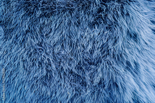 Textura de pelúcia azul 