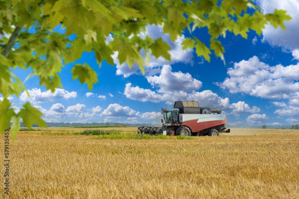 Wheat harvesting. Agricultural harvester. Wheat field with harvester. Grain business. Agricultural landscape. Wheat field with blue sky. Agro technique on field with grain. Growing grain crops Wheat harvesting. Agricultural harvester. Wheat field with harvester. Grain business. Agricultural landscape. Wheat field with blue sky. Agro technique on field with grain. Growing grain crops