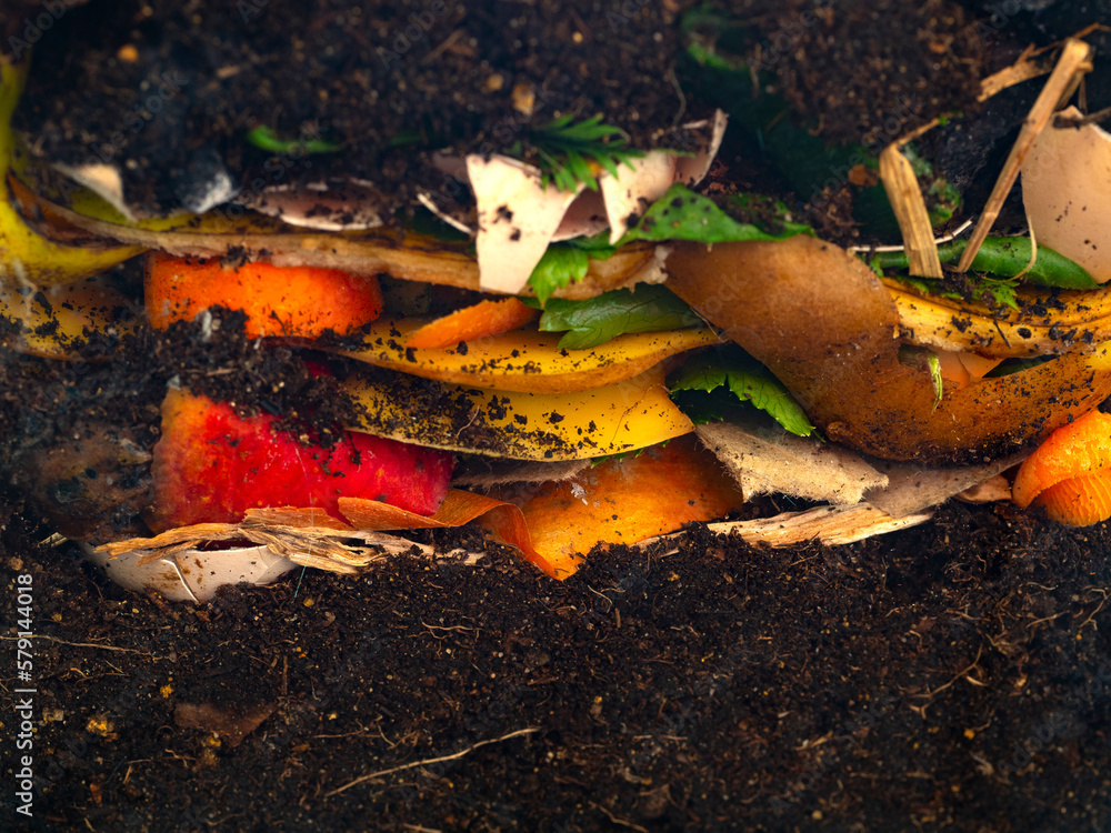 organic compost - biodegradable kitchen waste and soil