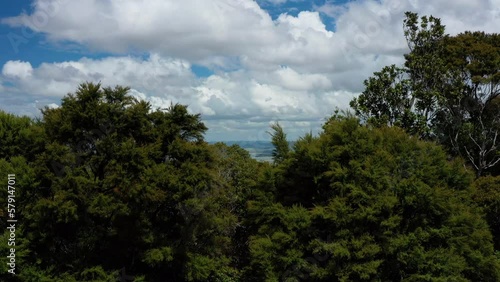 Whangarei, Northland. Aerial, drone shot of small city in New Zealand, Pacific Region