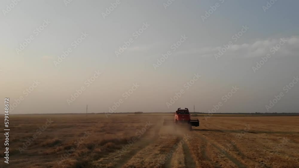 Red combine harvesting wheat at sunset in the central part of Ukraine Red combine harvesting wheat at sunset in the central part of Ukraine