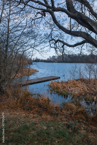 Jetty at Bolam Lake Country Park in Northumberland, England, the UK in winter