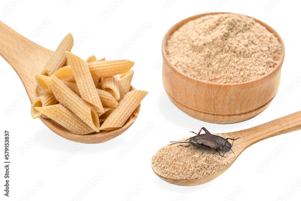 Crickets flour pasta and crickets powder for eating in wooden bowl