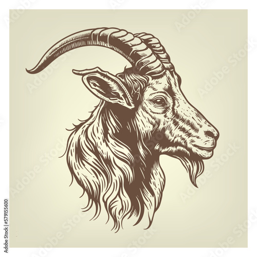 Hand drawn Goat Head illustration. Vintage woodcut engraving style vector illustration.	
