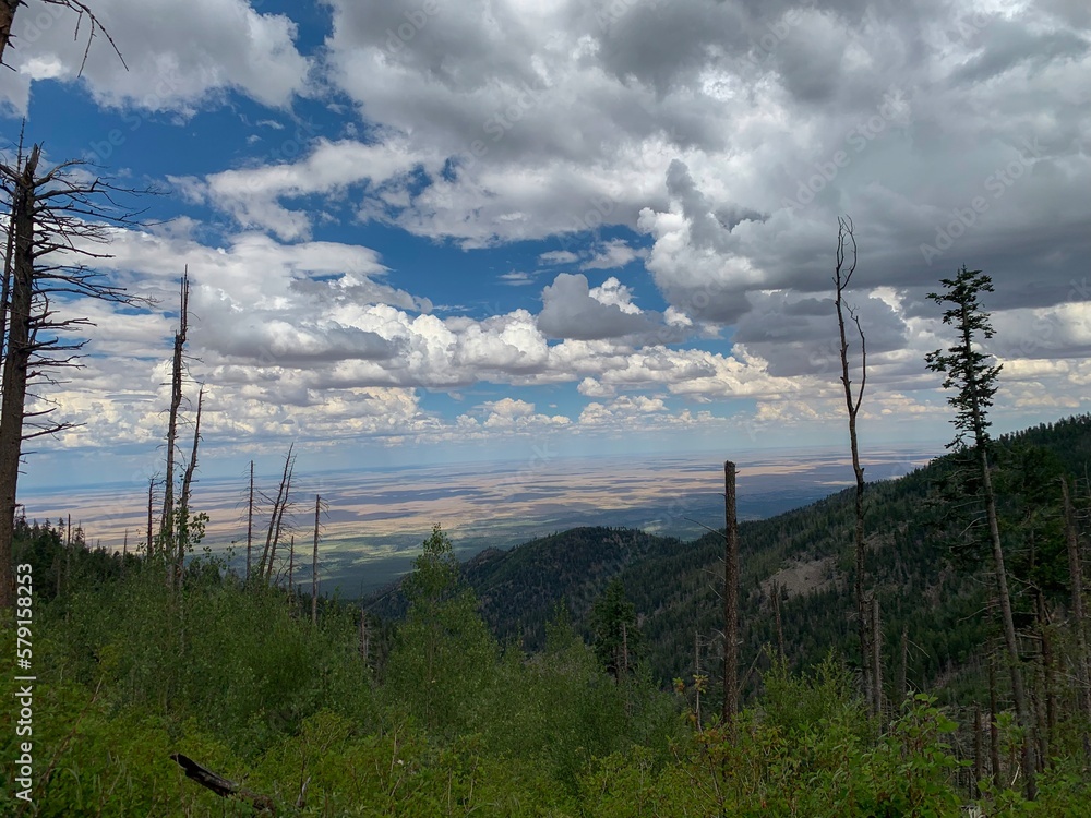 Obraz premium Lincoln National Park Mountain View