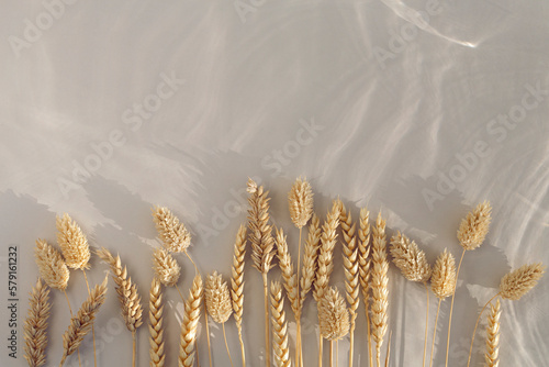 Wheat and grain grass on textured backrgound photo