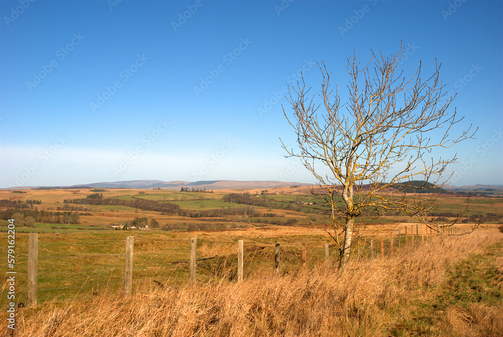 view over Billsmoor Park eastwards near Rothbury, Northumberland