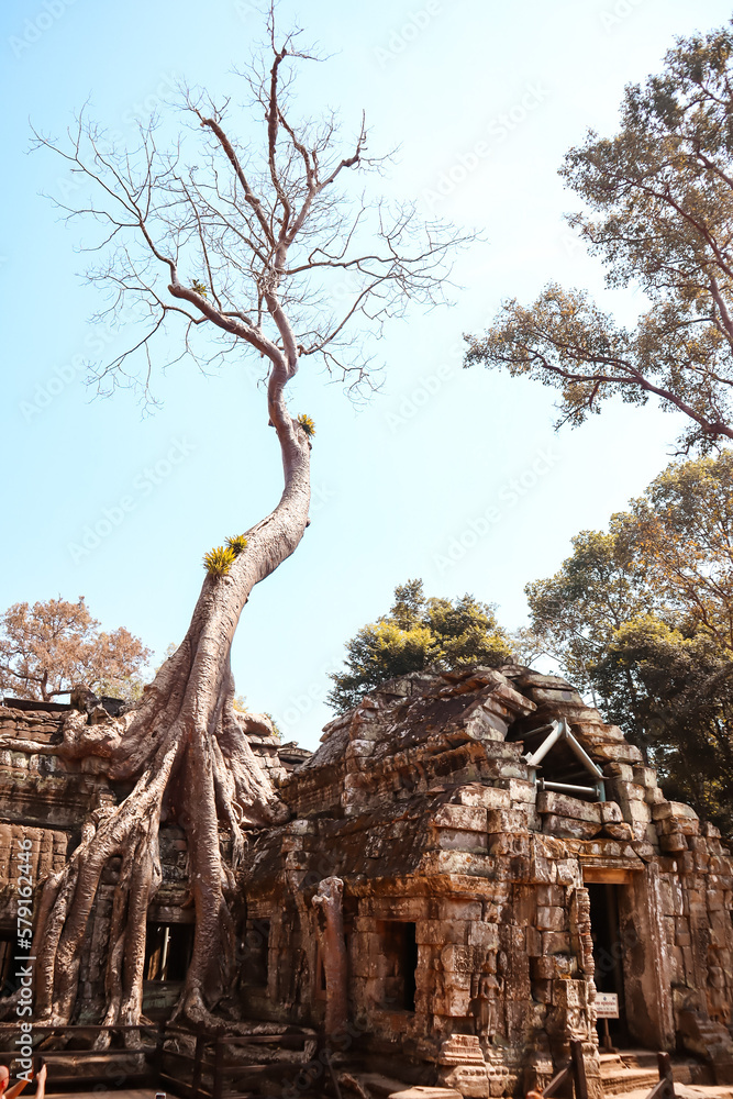 Fototapeta premium archaeological site country - Angkor Thom