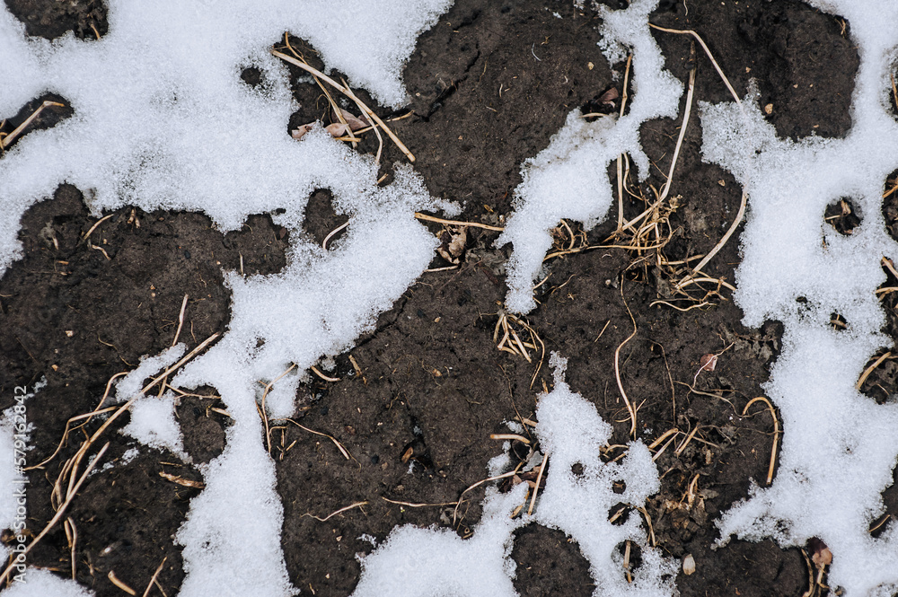 Texture, background of white snow lying on dug up brown earth, ground. Close-up photography, nature, agriculture, top view. Texture, background of white snow lying on dug up brown earth, ground. Close-up photography, nature, agriculture, top view.