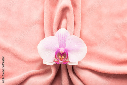 Pink soft tissue in the form of female genital organs, vulva and labia, vagina concept with delicate flower photo