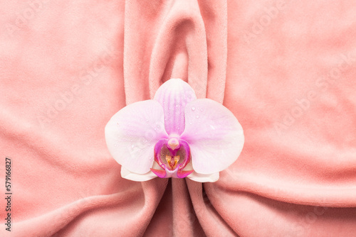 Pink soft tissue in the form of female genital organs, vulva and labia, vagina concept with delicate flower