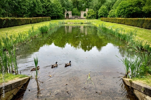 Scenic view of ducks swimming in a pond in woodland at a Country Park

bridge in the park