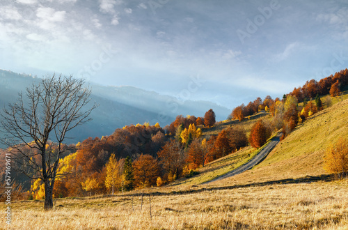 Rural road in autumn misty mountain, colorful trees on slope and sunbeam over it.