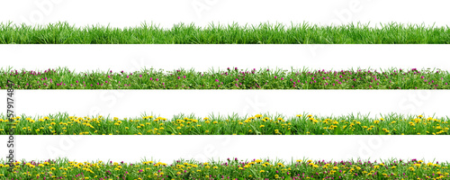Various borders of green grass, dandelions and clovers, isolated on transparent background. 3D render.