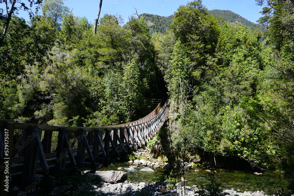 Fototapeta premium Wooden bridge in a forest