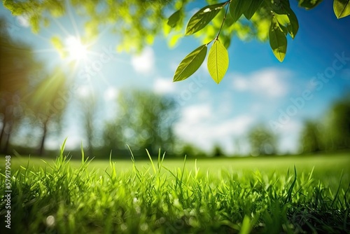 Beautiful Green Spring/Summ...