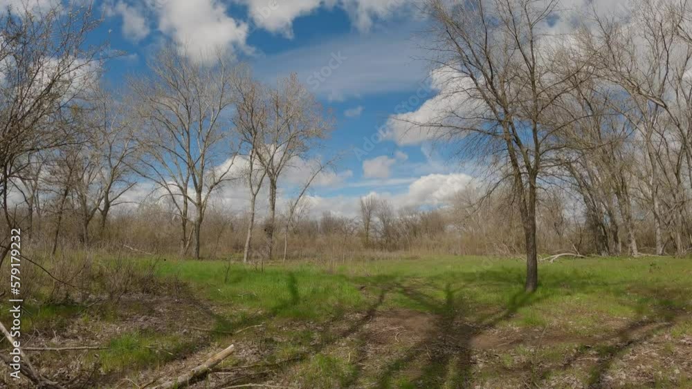 Hiking through a woodland area with clouds in the sky Hiking through a woodland area with clouds in the sky