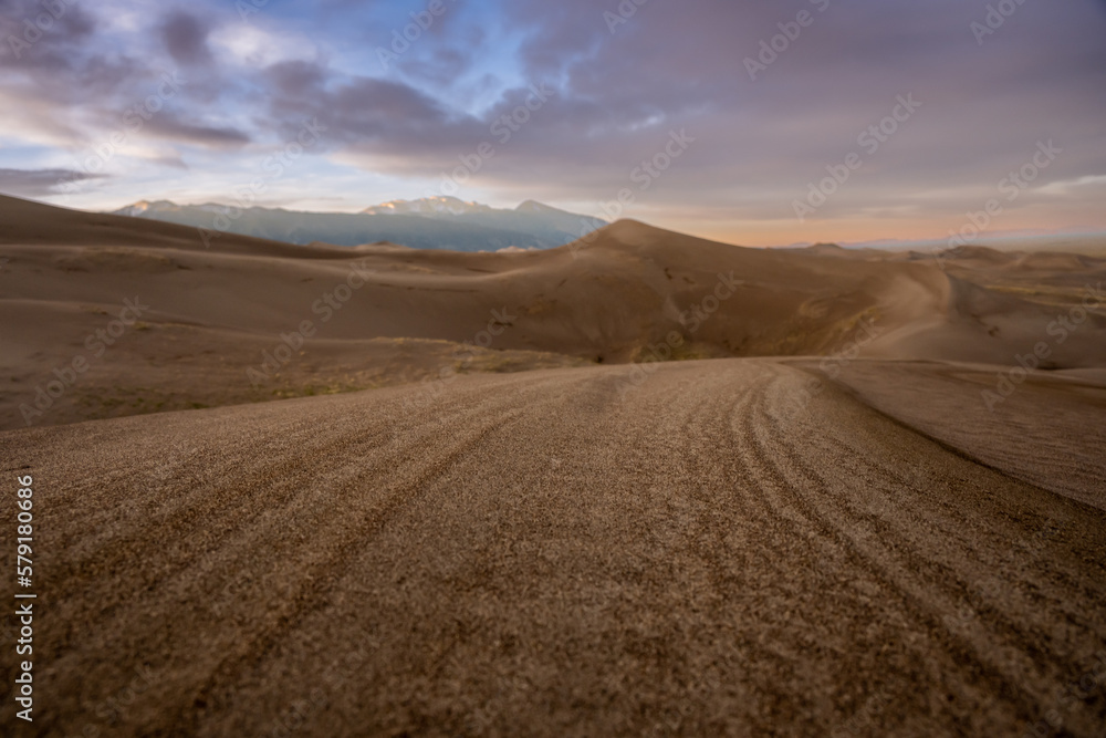 Lines in the Dunes Bend Across Crest of Dune