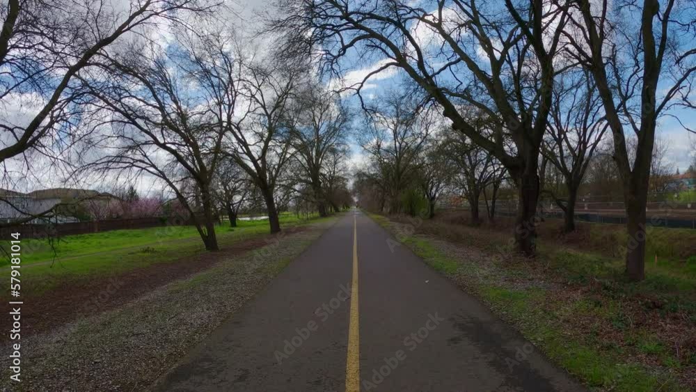 Walking down a bike path between oak trees Walking down a bike path between oak trees