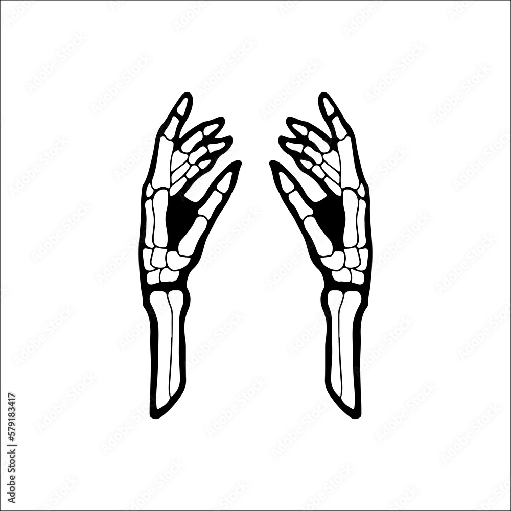 vector illustration of a pair of bone hands vector illustration of a pair of bone hands