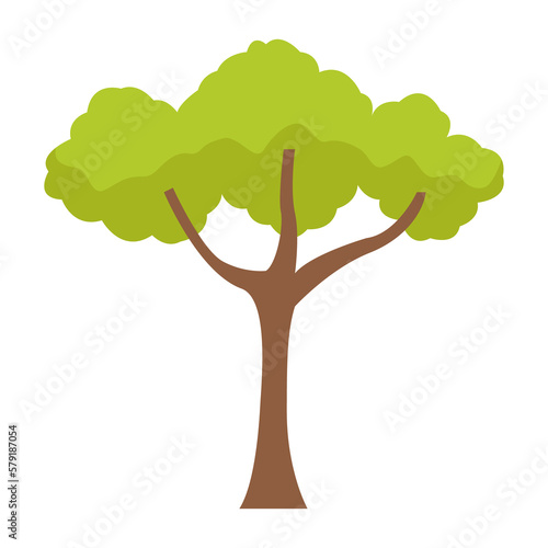 tree icon png image with transparent background