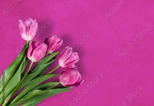 Fototapeta Naklejka Na Ścianę i Meble -  A fresh beautiful bouquet of tulips flowers