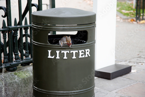 Squirrel on trash bin #579188652