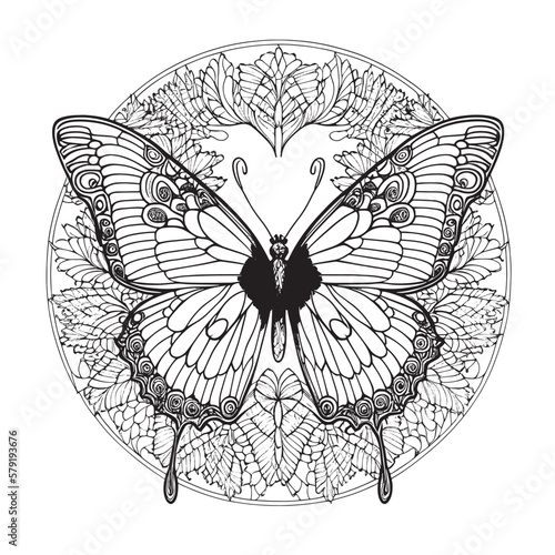 A majestic Butterfly illustration in a stylish composition. Adult coloring book pages made freehand with doodle and zentangle elements., Vector  illustration