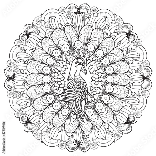 A majestic Peacock illustration in a stylish composition. Adult coloring book pages made freehand with doodle and Zentangle elements., Vector  illustration