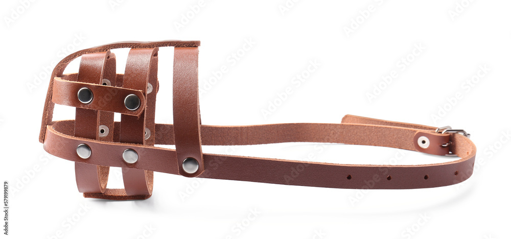 Fototapeta premium Brown leather dog muzzle isolated on white
