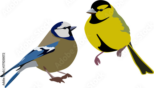 cute little birds. birds. nature. vector illustration. animal base. wild life. bottomless